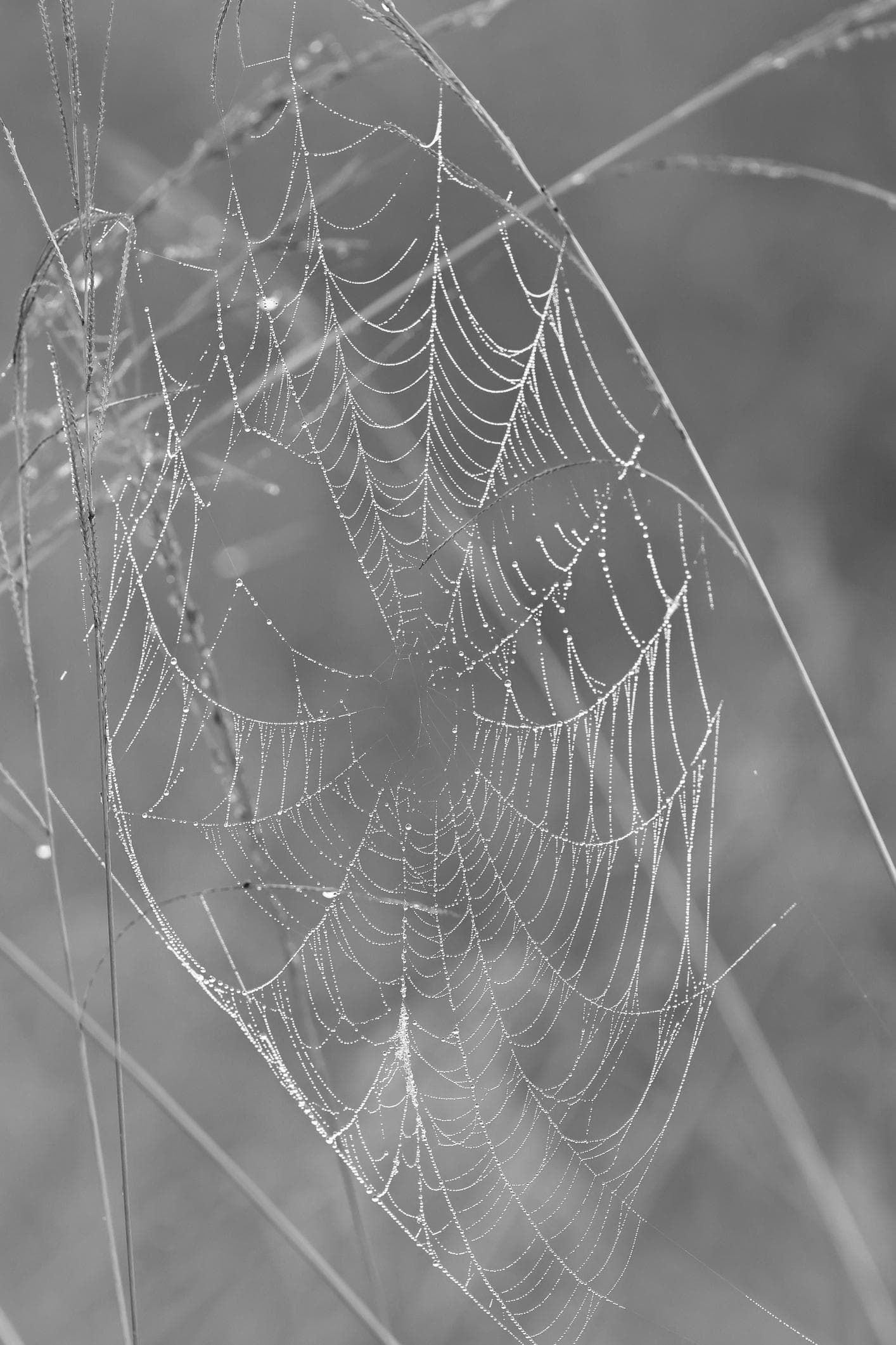 Every thread tells a story when you follow it far enough.